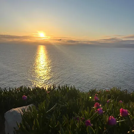 Ensenada Dichosa
